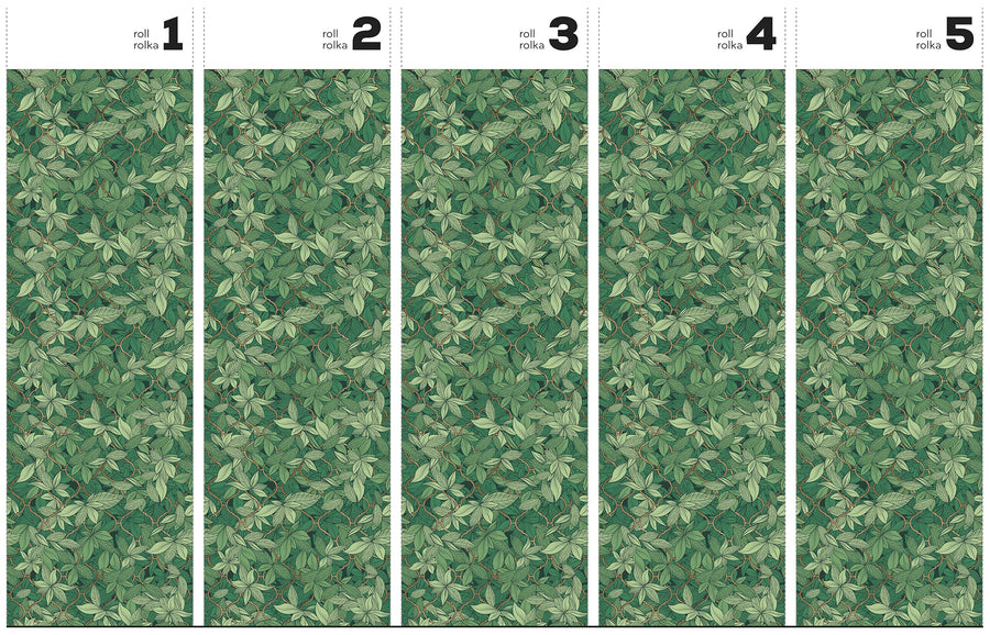 Edera Dark Green - Wallpaper in standardized rolls