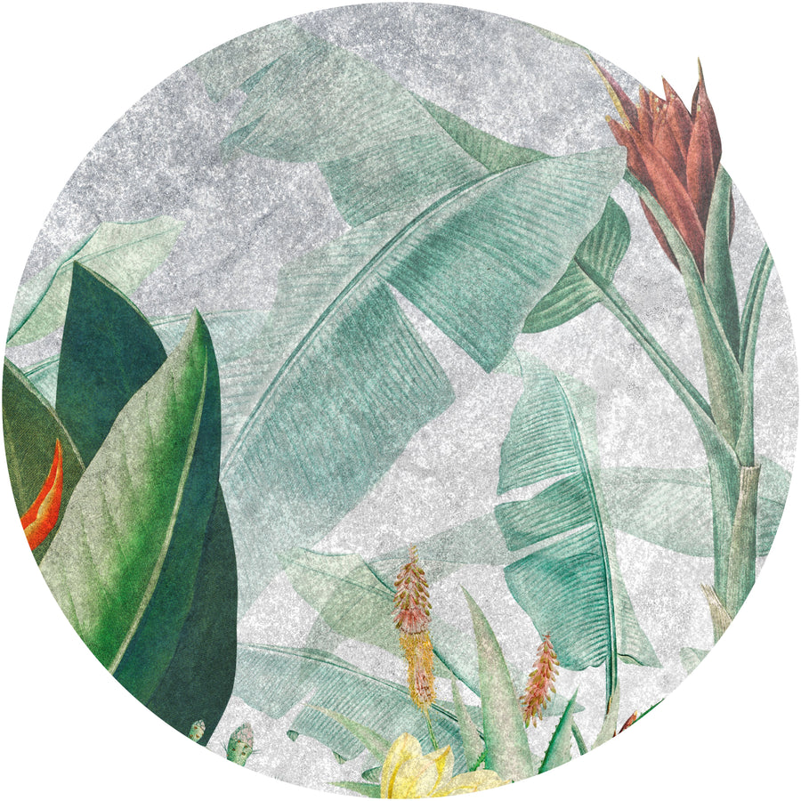 Rainforest Vivid Circle Wallpaper