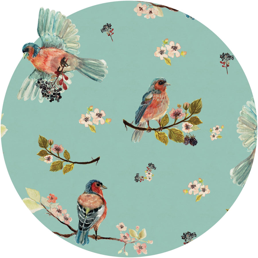 Uccello Cantante Mint Circle Wallpaper