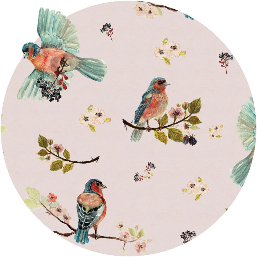 Uccello Cantante Pink Circle Wallpaper